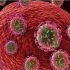 The Emerging Paradigm in HIV Therapeutics Offers Hope for a Cure