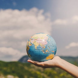 WEBSITE DEVELOPMENT & SEO SERVICES