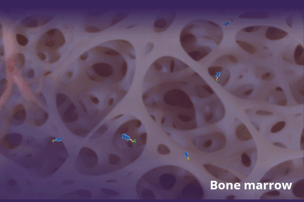 4 biotech Stocks Facing FDA rejection!