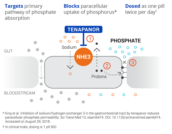 4 biotech Stocks Facing FDA rejection!